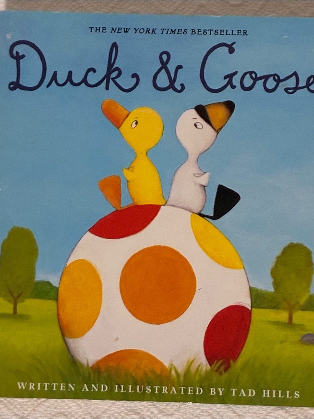 Duck & Goose Board Book